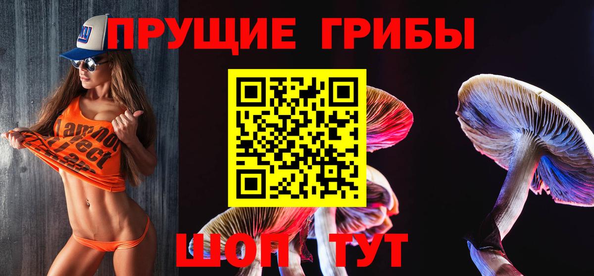 Галлюциногенные грибы MAGIC MUSHROOMS Вязники