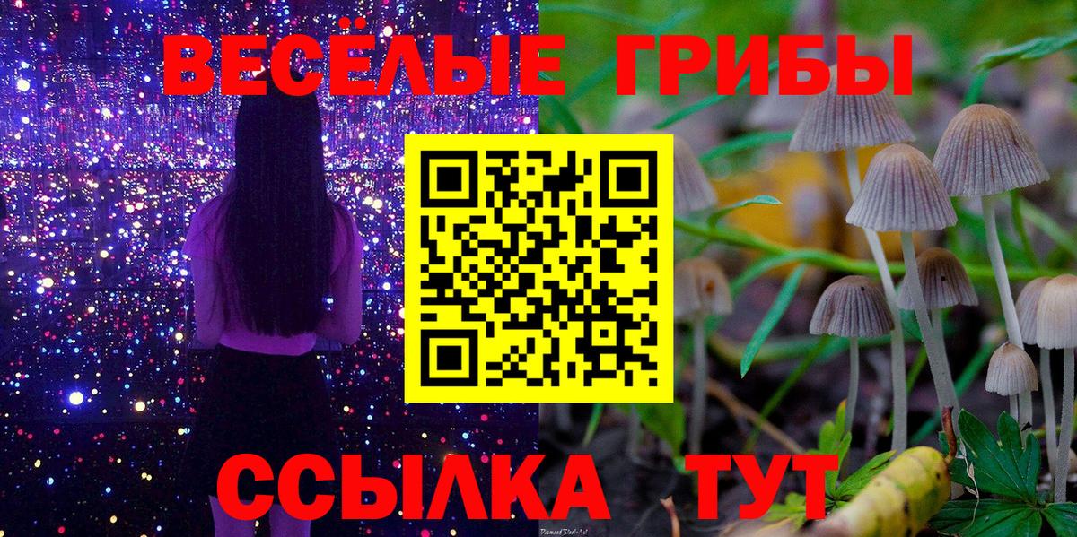 Псилоцибиновые грибы ЛСД  Вход с VPN  Вязники 